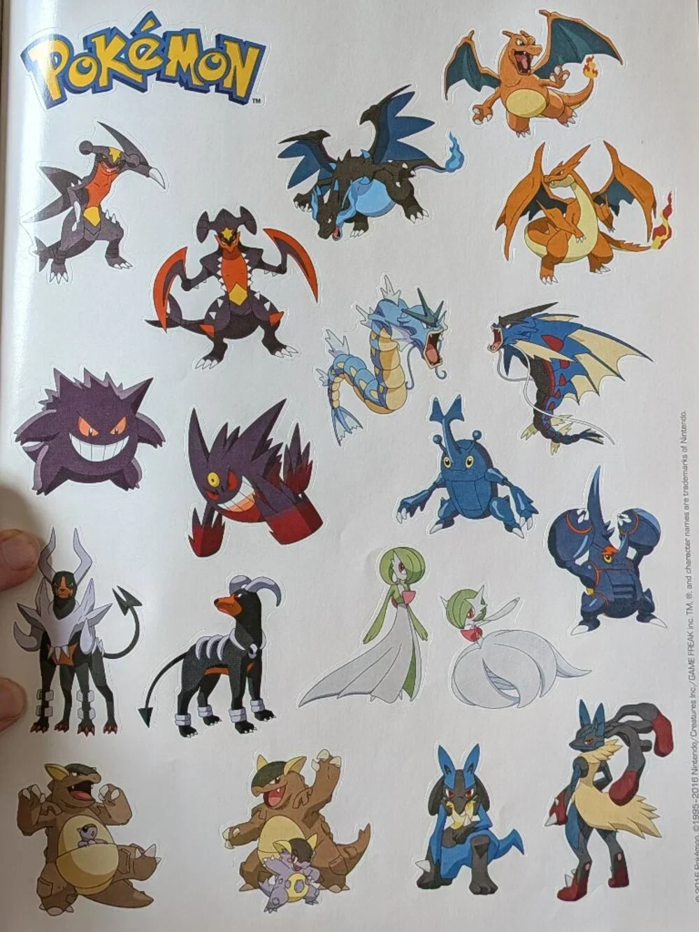 Pokemon Stickers Bundle & Kalos Activity Book